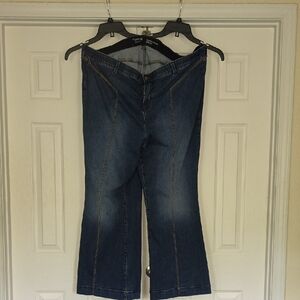 Torrid Blue Flare Wide Leg Jeans